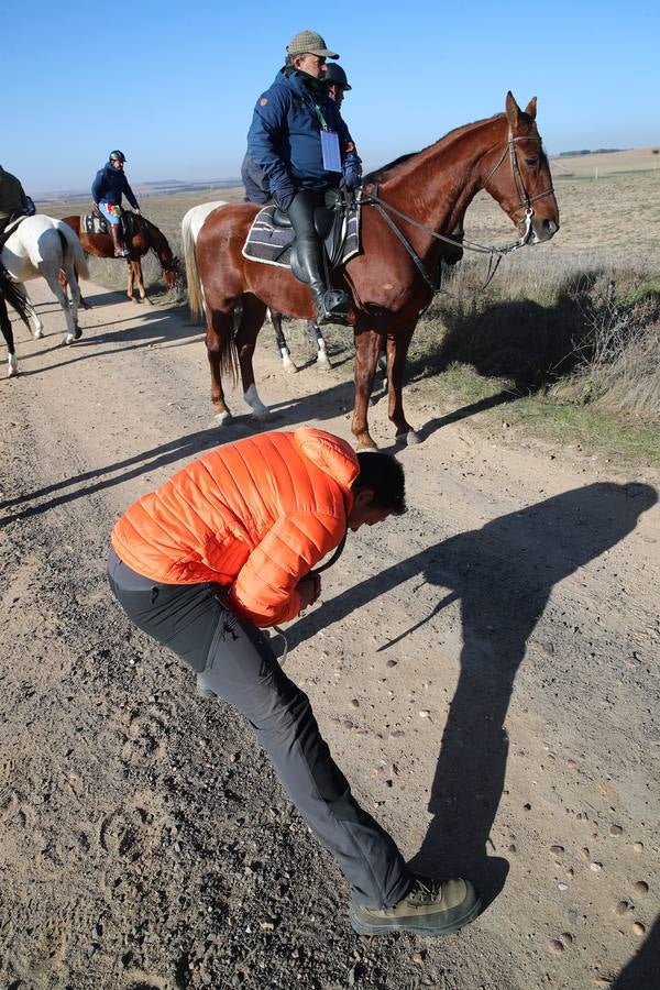 Fotos: Segunda jornada de semifinales del LXXXIV Campeonato de España de Galgos en Campo