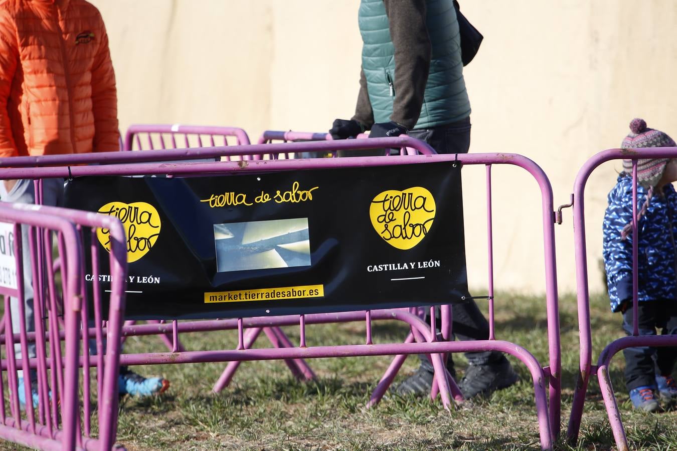 Fotos: Segunda jornada de semifinales del LXXXIV Campeonato de España de Galgos en Campo