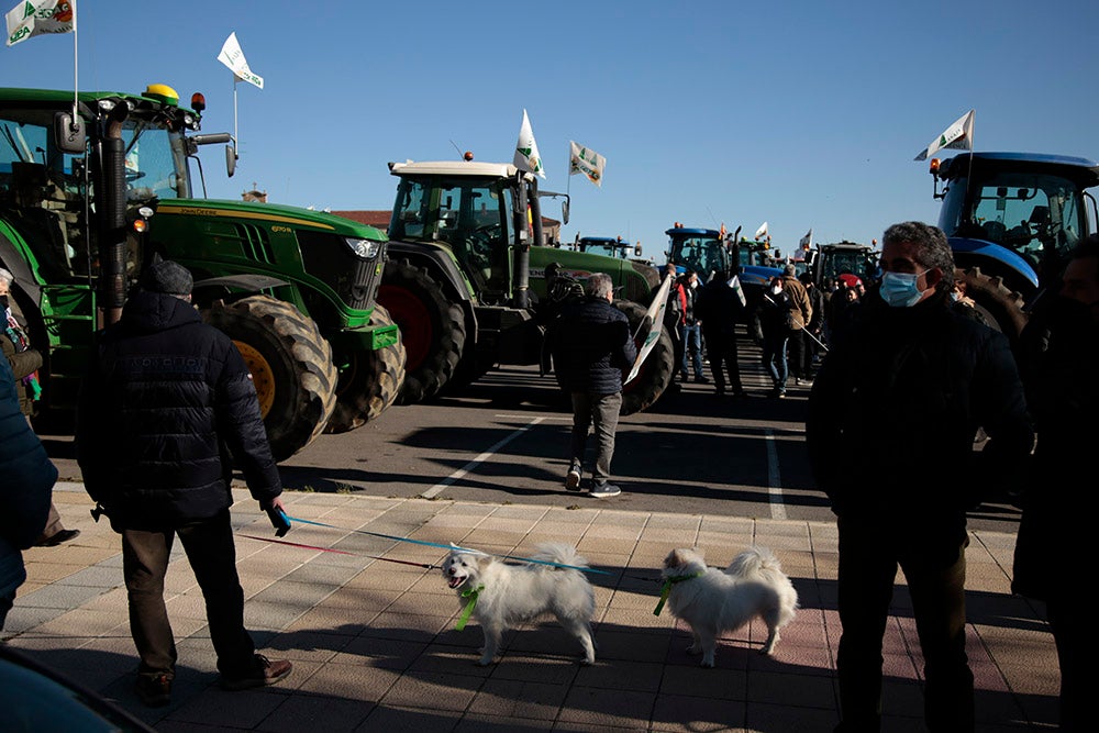 Cientos de tractores y miles de personas 'toman' Salamanca para exigir rentabilidad en el campo