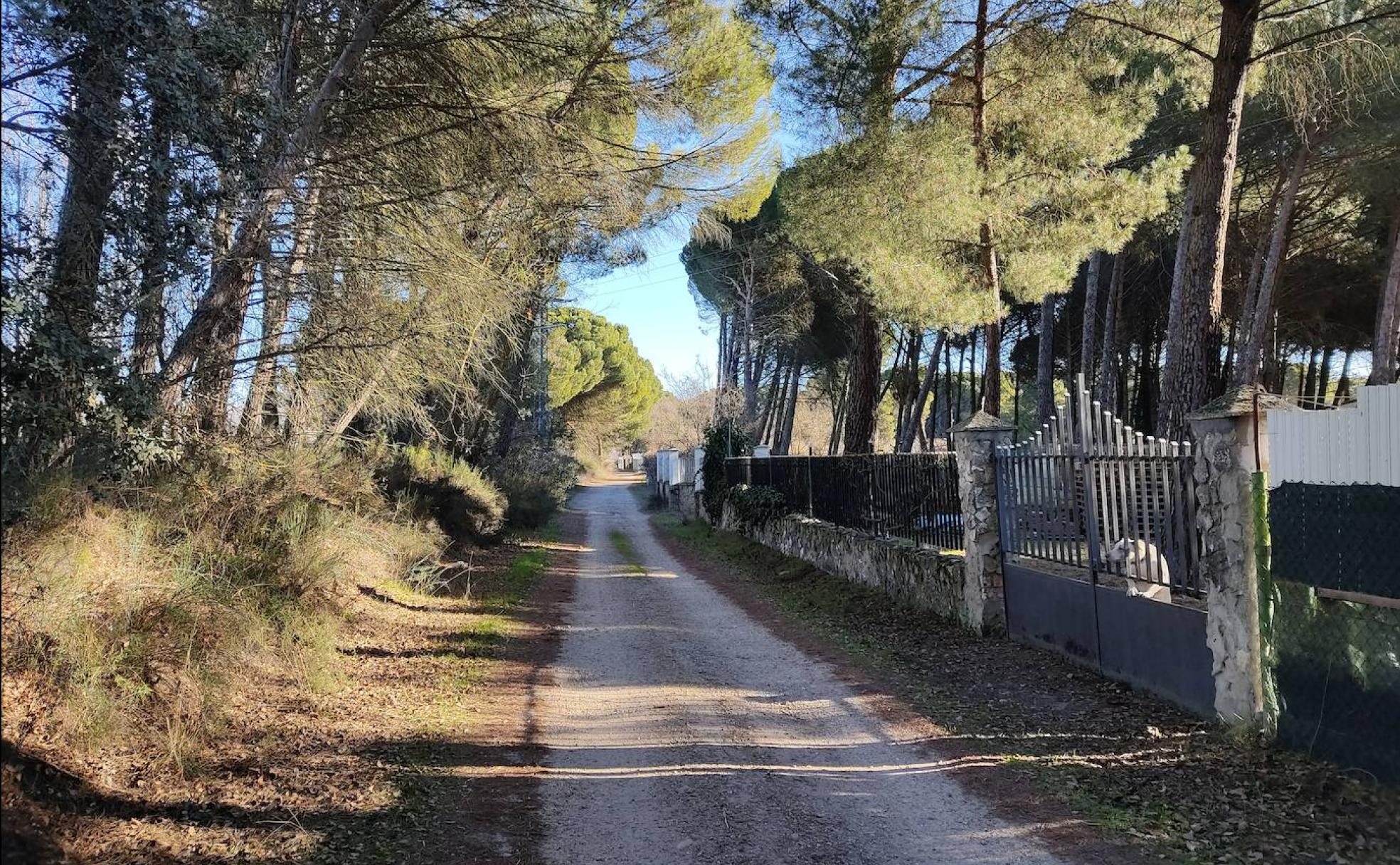Una de las calles de la urbanización Pago de Villaslongas. 