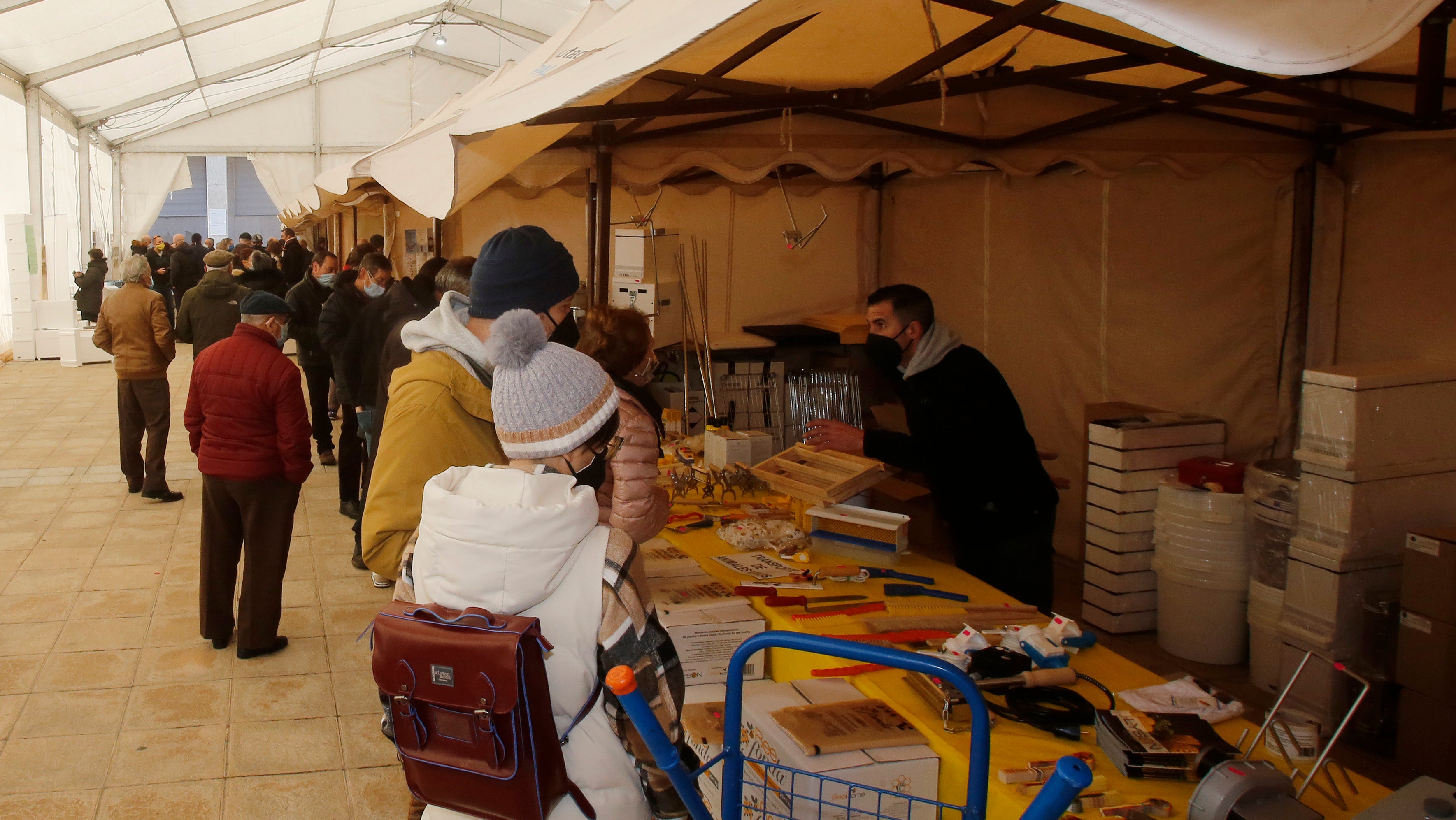 Los visitantes recorren la muestra de apicultura, ubicada en la plaza de los Juzgados. 