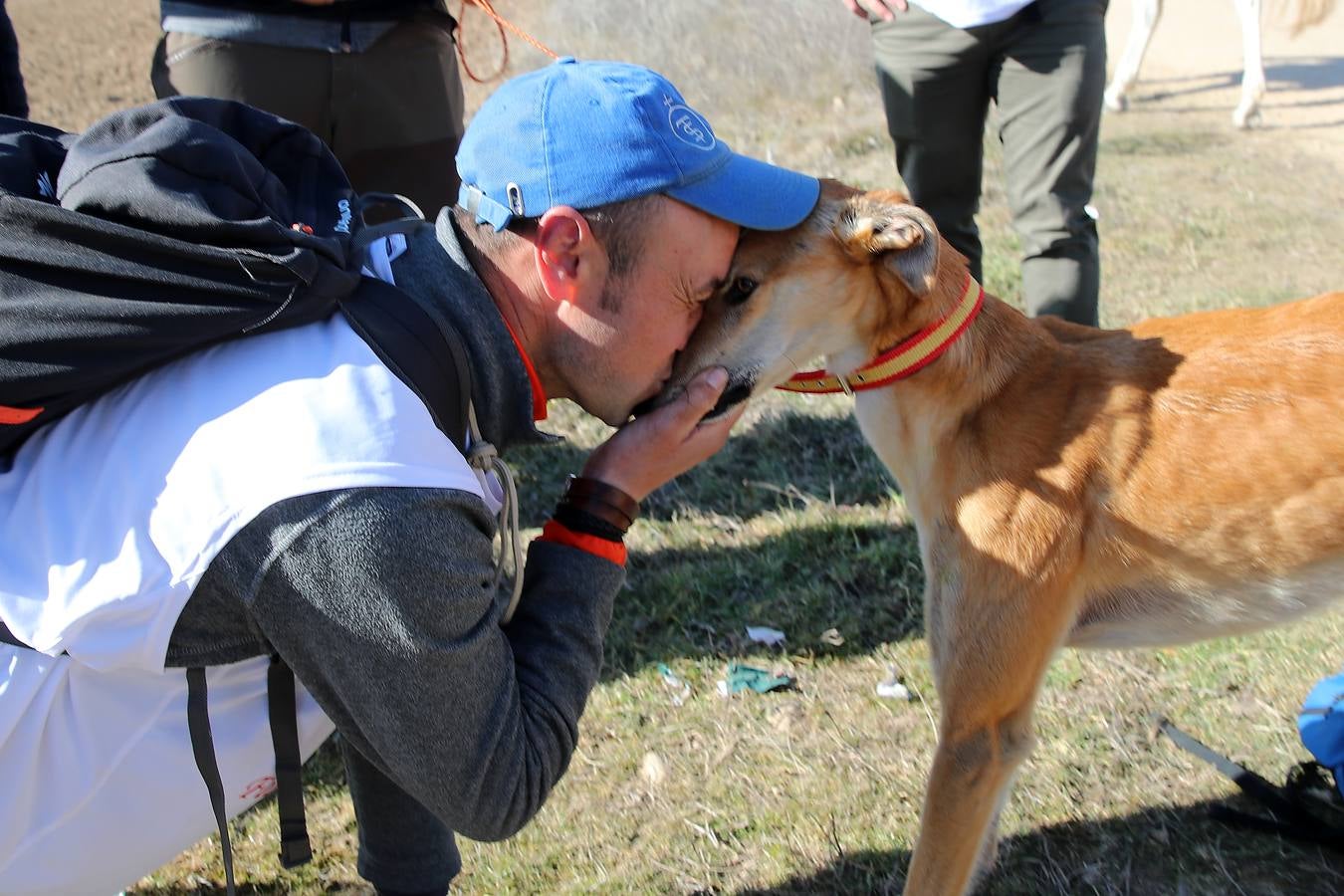 Fotos: El galgo castellano y leonés Rubio de Triki se impone en el Campeonato Nacional en Campo