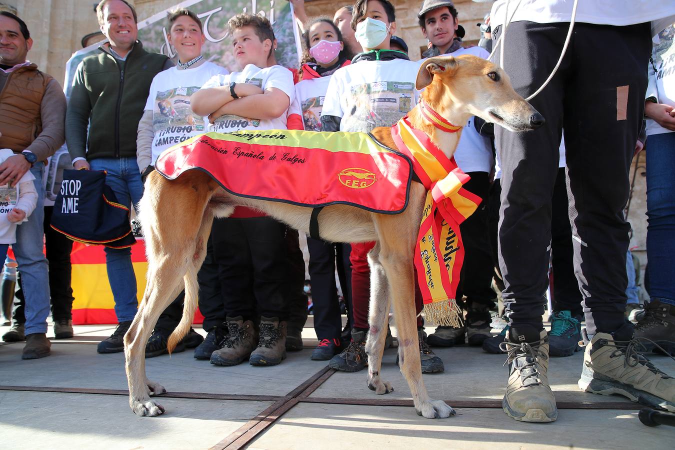 Fotos: El galgo castellano y leonés Rubio de Triki se impone en el Campeonato Nacional en Campo