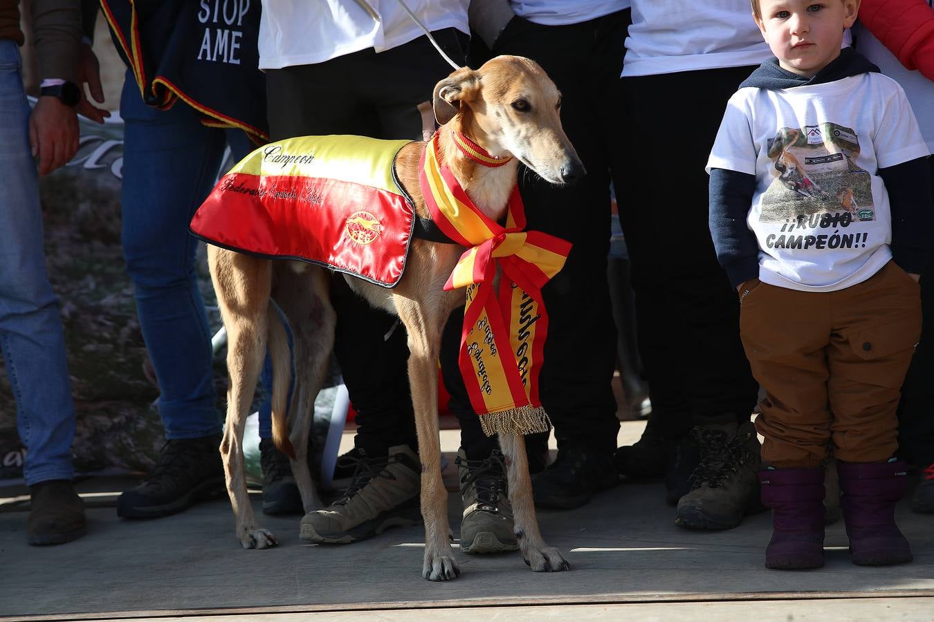 Fotos: El galgo castellano y leonés Rubio de Triki se impone en el Campeonato Nacional en Campo