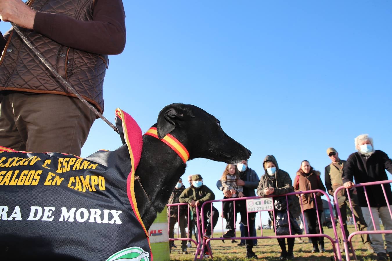 Fotos: El galgo castellano y leonés Rubio de Triki se impone en el Campeonato Nacional en Campo