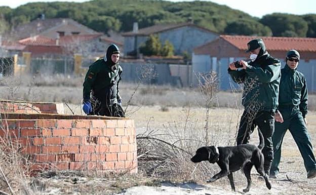 Arsa, una labrador adiestrada en búsqueda subacuáticas, junto a los buzos de la Guardia Civil. 
