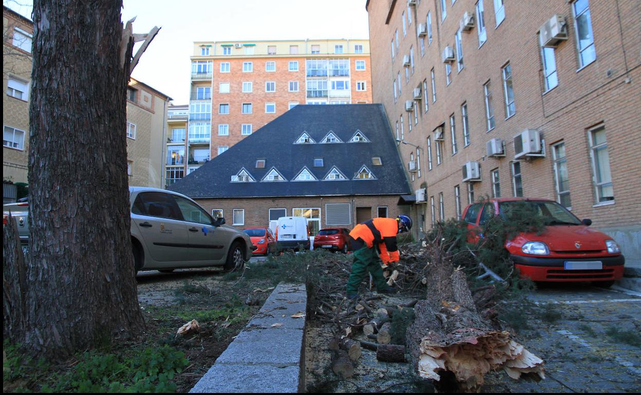 Los bomberos retiran la maleza esparcida por el aparcamiento del ambulatorio de San Tomás este martes por la tarde. 