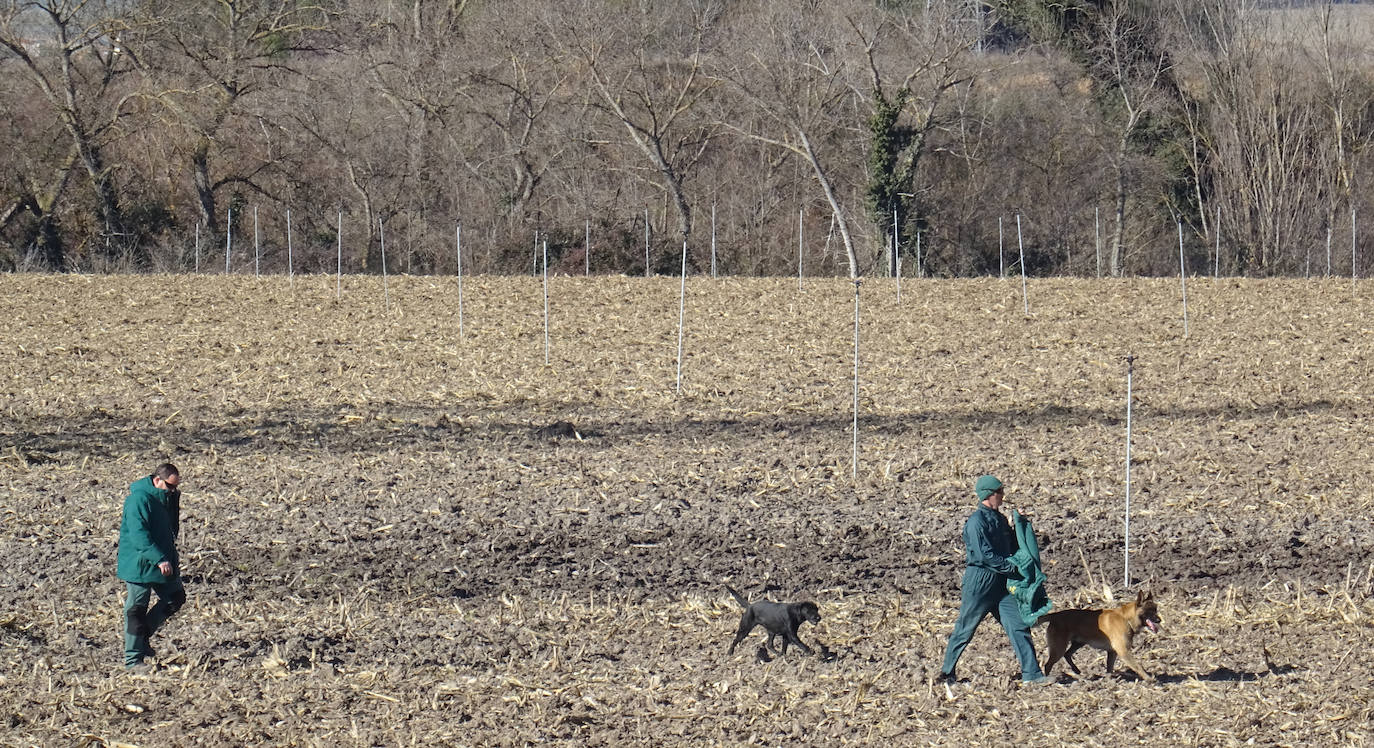Fotos: Los Geas y guías caninos buscan a Esther López en pozos de Traspinedo