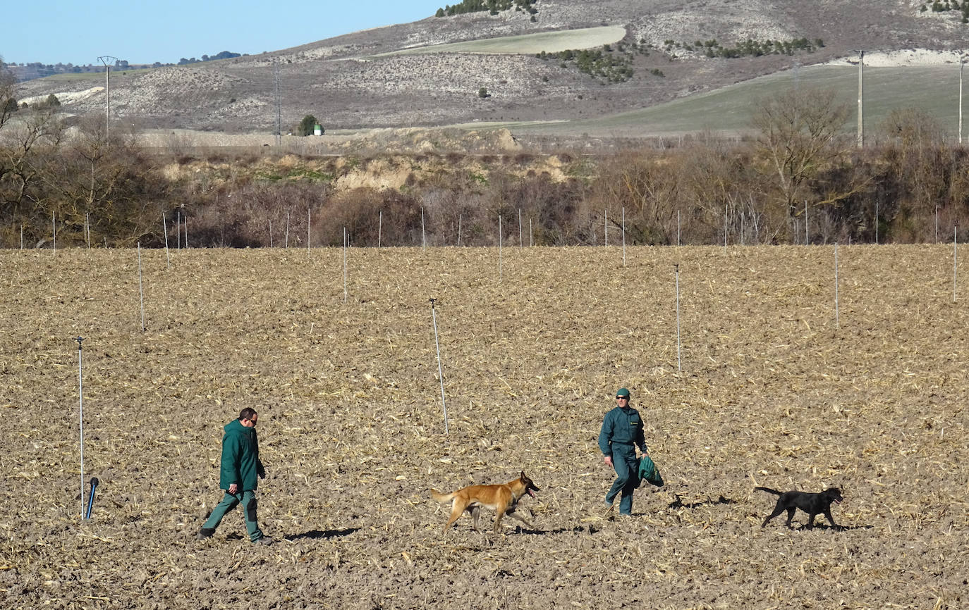 Fotos: Los Geas y guías caninos buscan a Esther López en pozos de Traspinedo