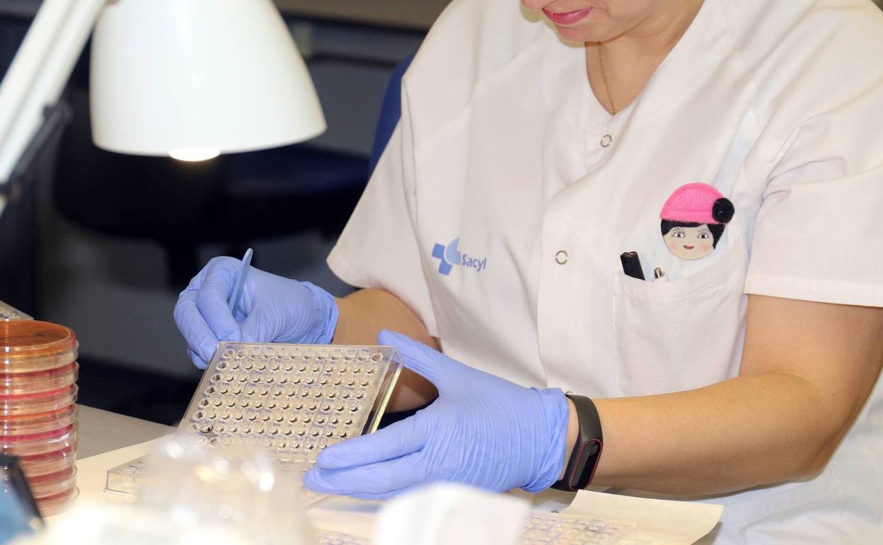 Laboratorio de gripe del Centro Nacional ubicado en el Clínico de Valladolid. 