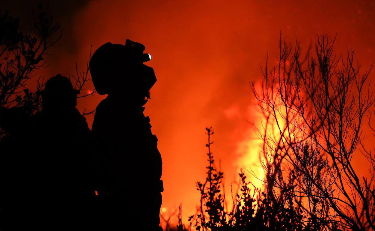 Incendio forestal en el Parque Natural de la Sierra de Francia (Salamanca), en el termino municipal de Monsagro, el pasado mes de noviembre. 