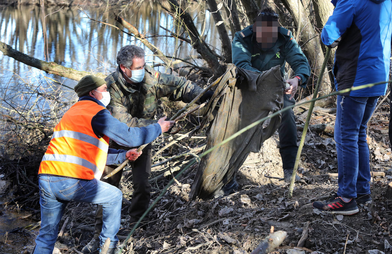 Fotos: Búsqueda de Timoteo en Carrión de los Condes