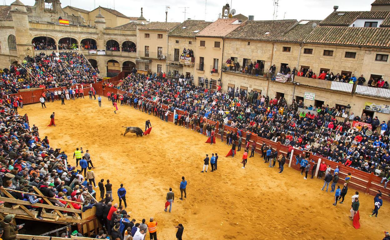 Carnaval del Toro en Ciudad Rodrigo. 