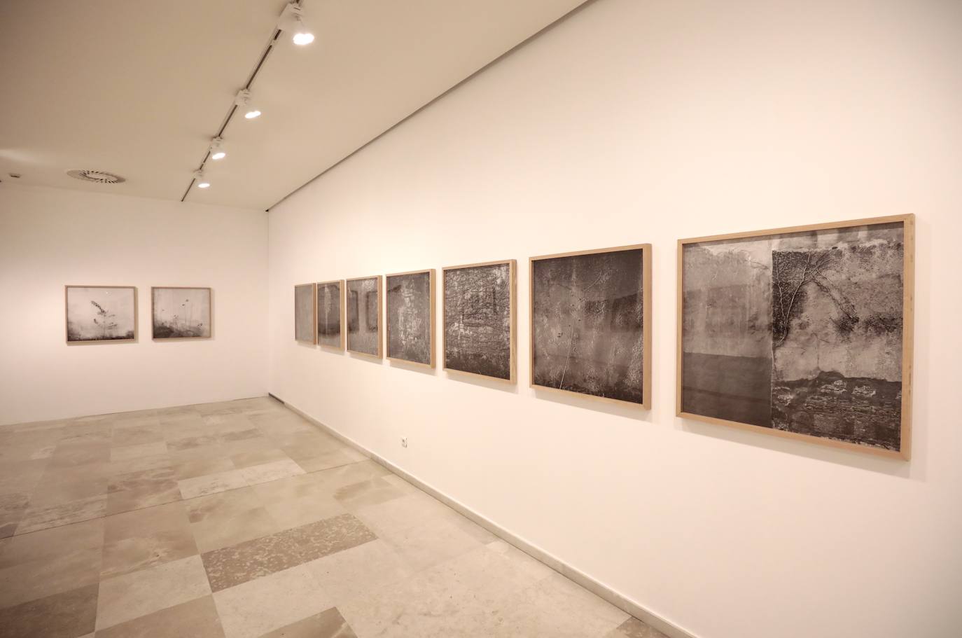 Fotos: Exposición fotográfica de Carlos Cánovas en el Museo del Patio Herreriano