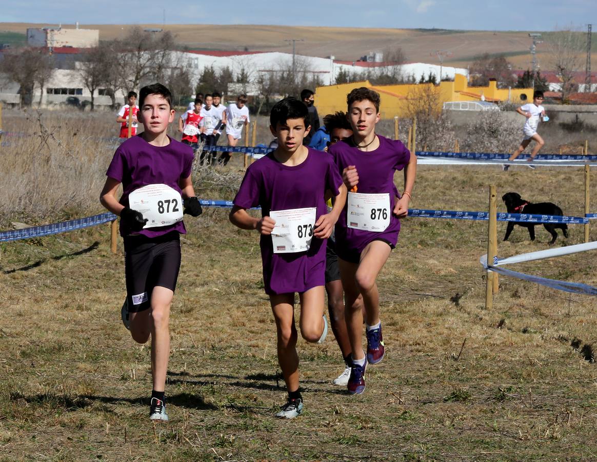 Fotos: El futuro del campo a través de Castilla y León se cita en Toro