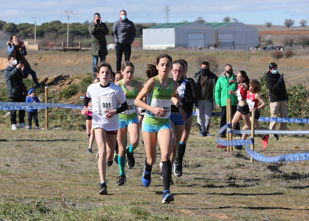 Fotos: El futuro del campo a través de Castilla y León se cita en Toro