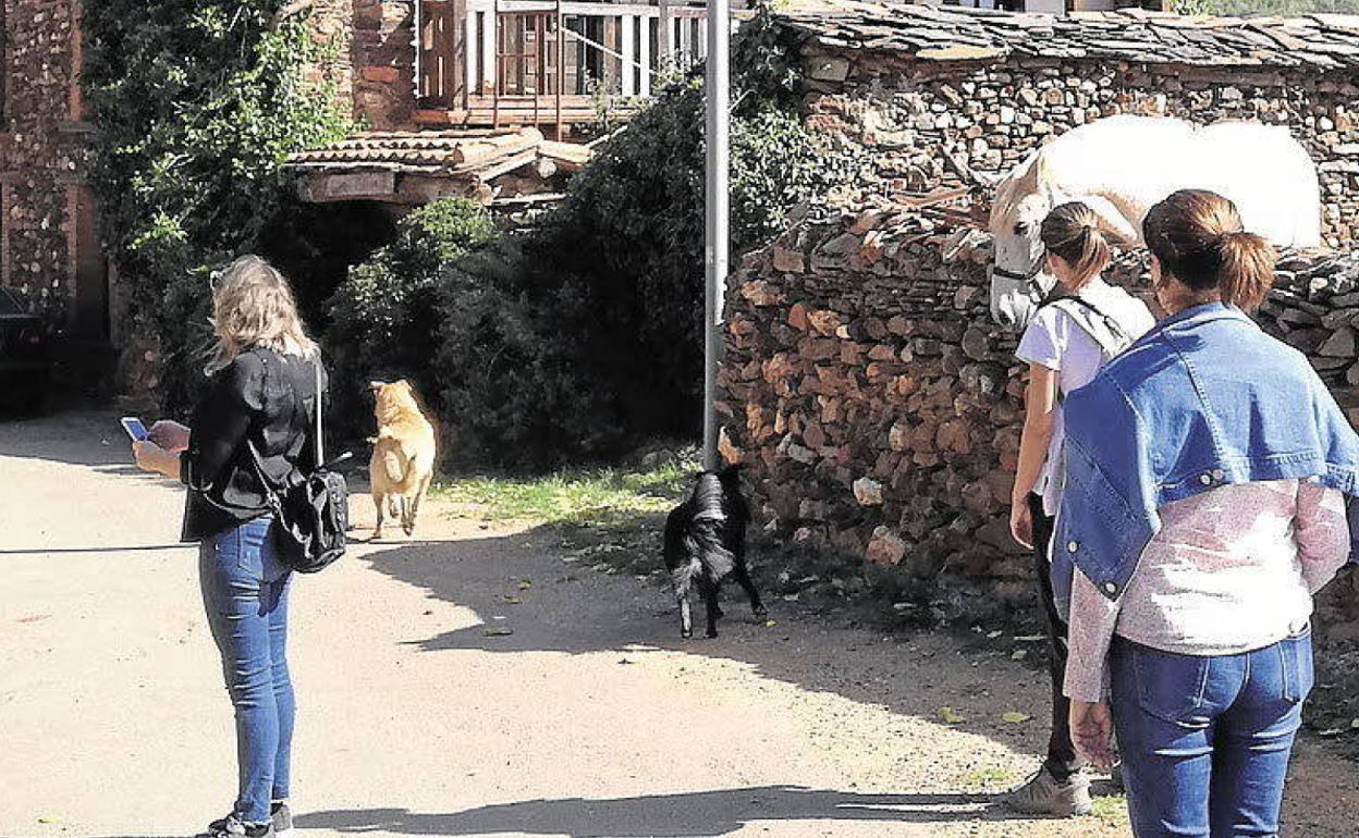 Turistas pasean por un pueblo de la provincia de Segovia. 