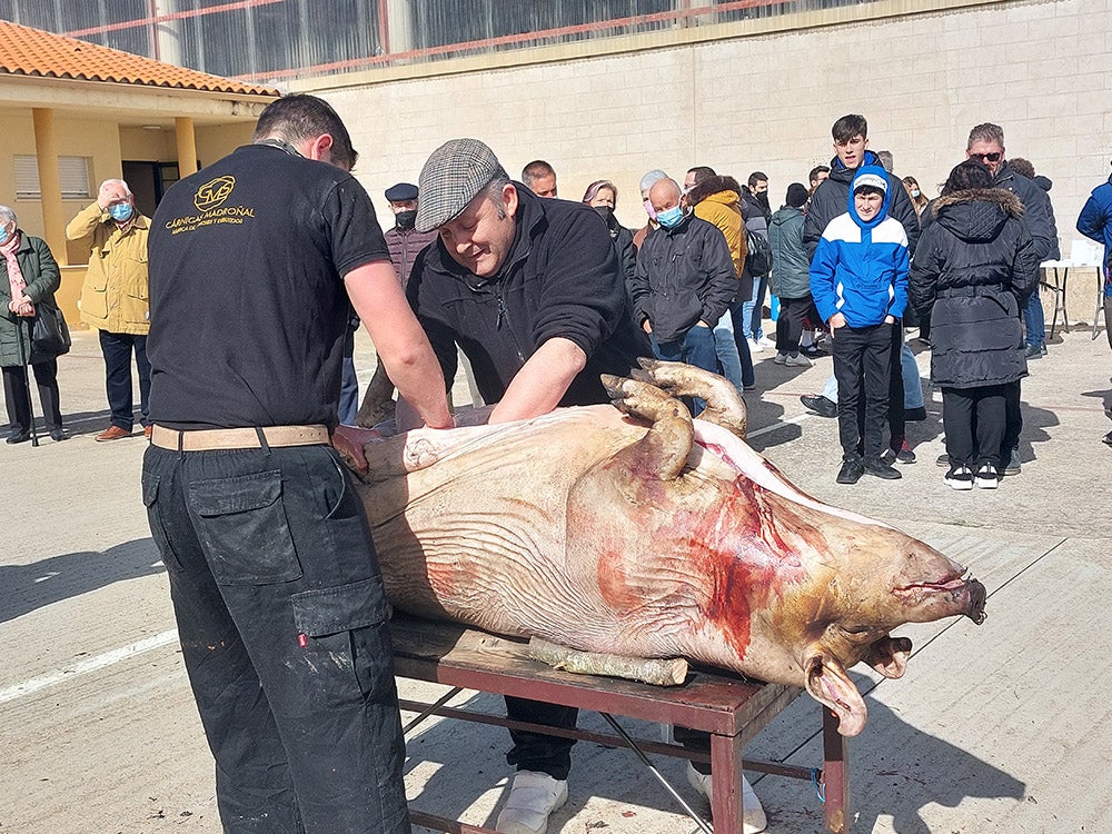 Los vecinos de Tamames disfrutan de su tradicional matanza