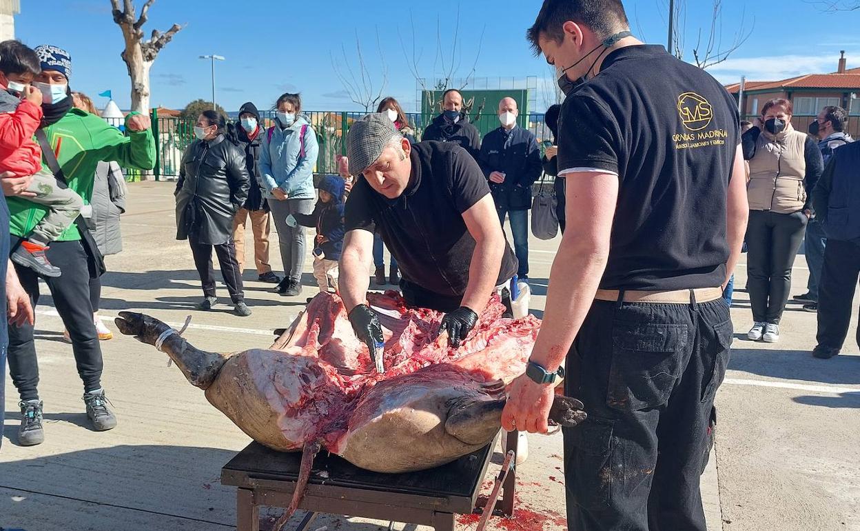 Tomás Guinaldo llevó a cabo el proceso de despiece del cerdo y después fue nombrado matancero de honor por el Ayuntamiento.