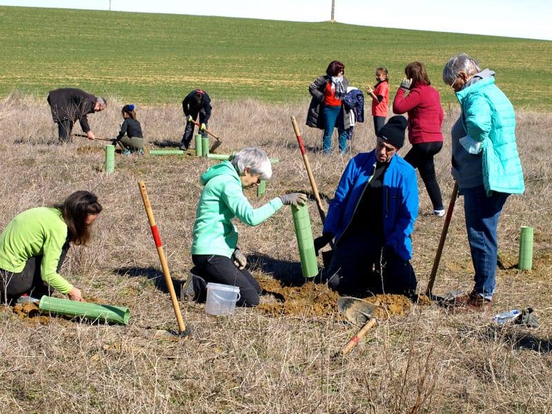 Fotos: Vecinos de Villacid participan en la reforestación del entorno de la ermita de Bustillino