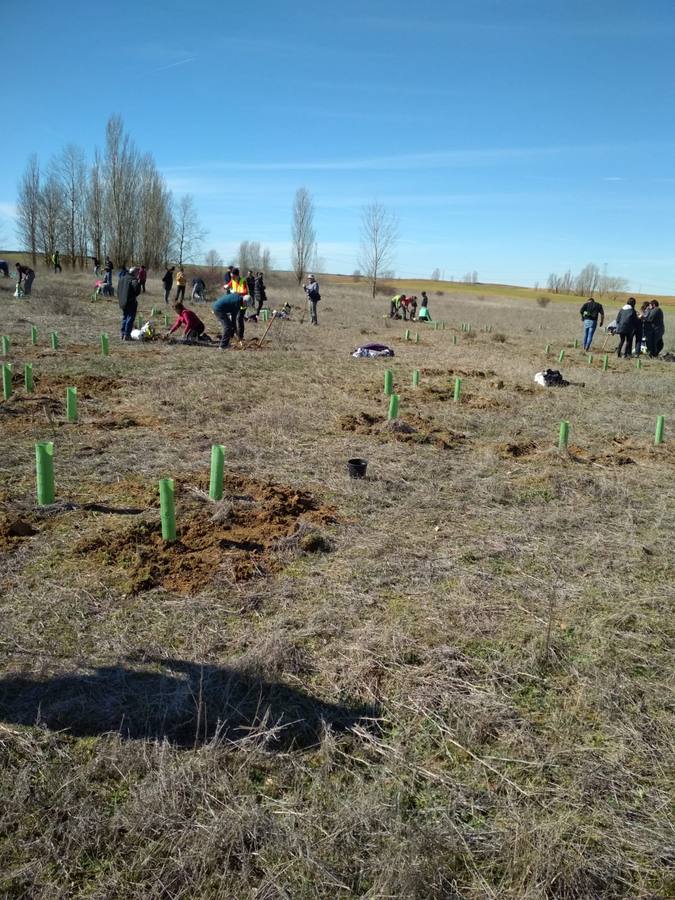 Fotos: Vecinos de Villacid participan en la reforestación del entorno de la ermita de Bustillino