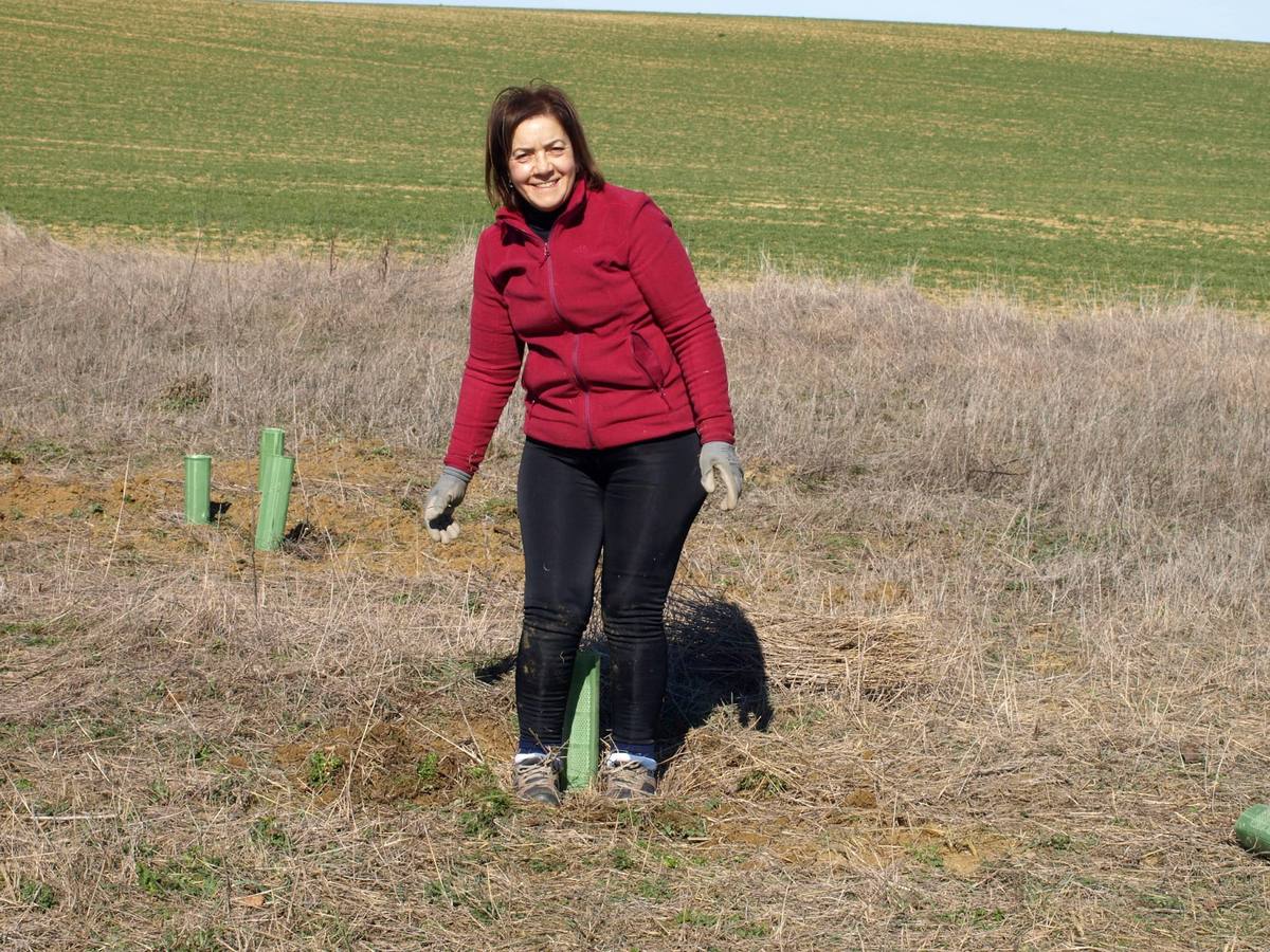 Fotos: Vecinos de Villacid participan en la reforestación del entorno de la ermita de Bustillino