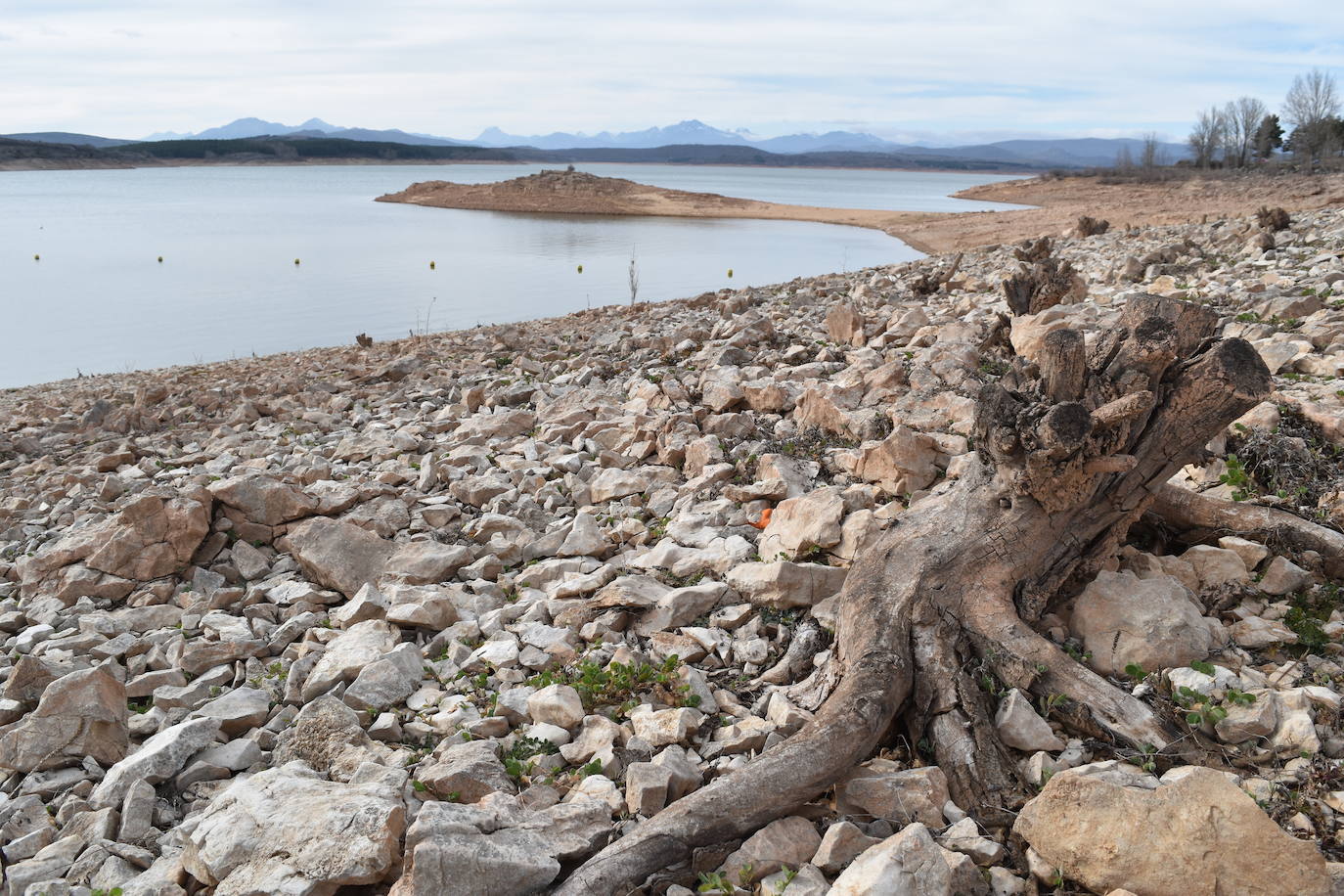Fotos: La sequía vacía los embalses