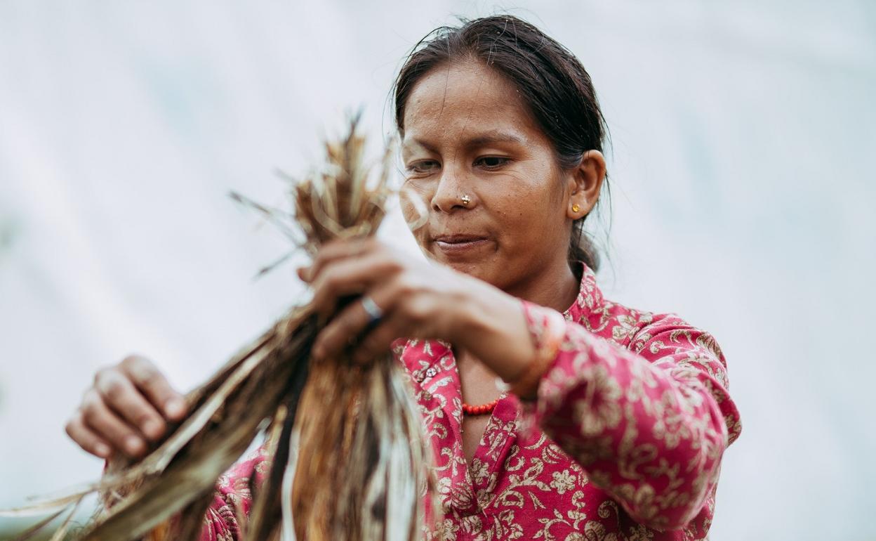 Los nepalíes, expertos en la recolección del cáñamo salvaje, son la mano de obra de esta joven empresa. 