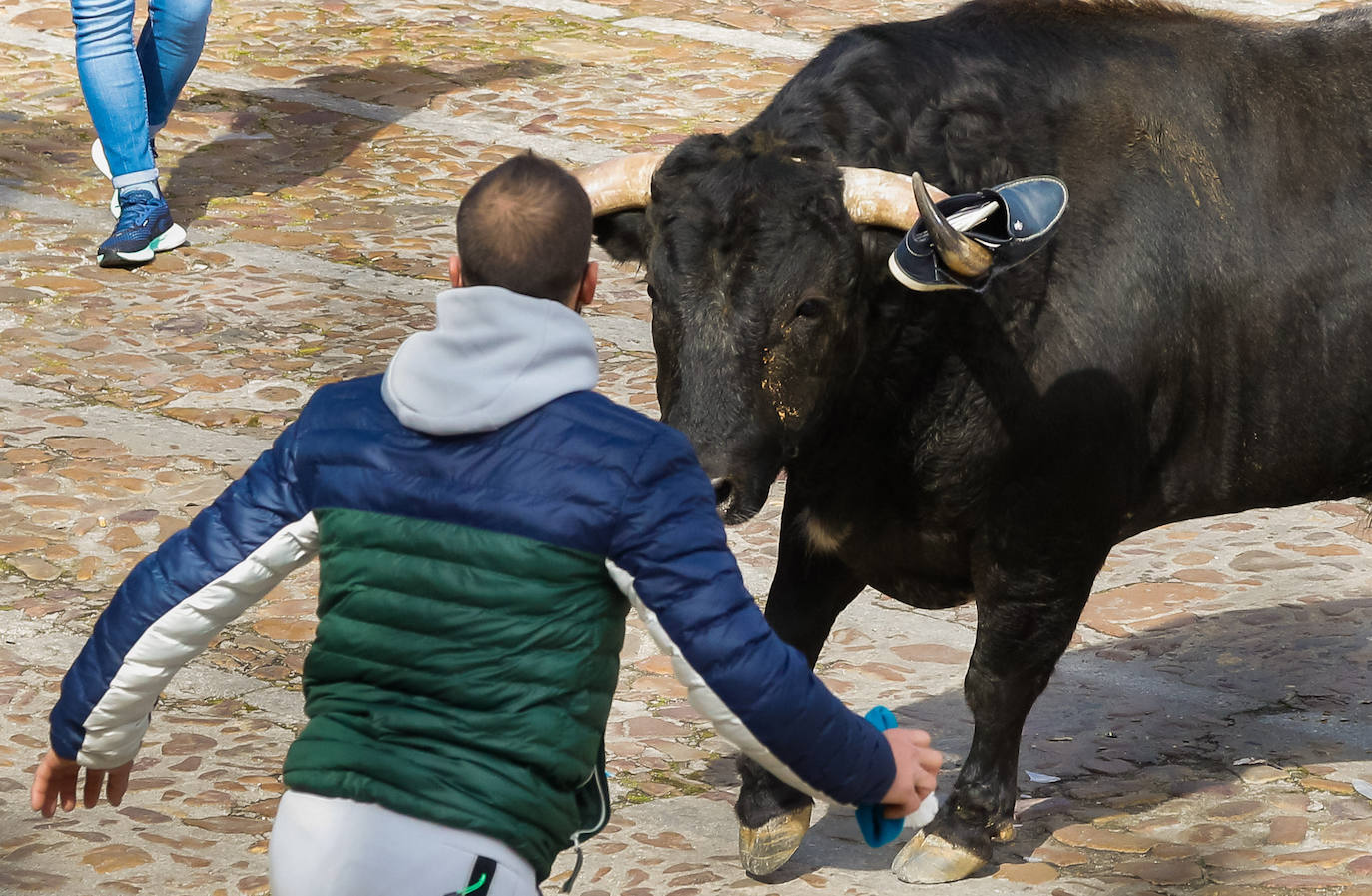 Fotos: Carnaval del Toro en Ciudad Rodrigo