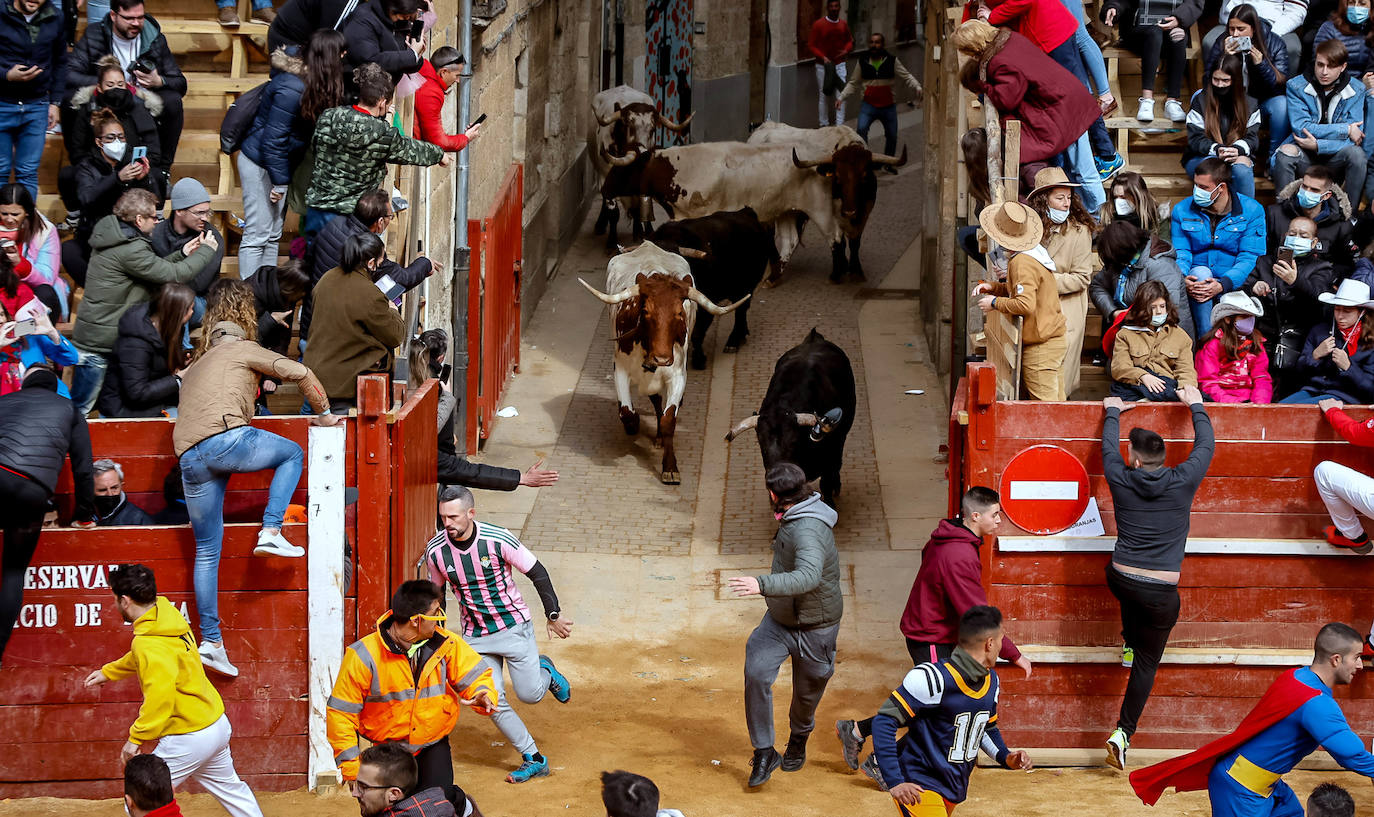 Fotos: Carnaval del Toro en Ciudad Rodrigo