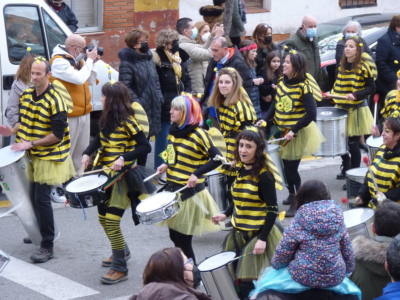 Fotos: Desfile de Carnaval en Tudela de Duero