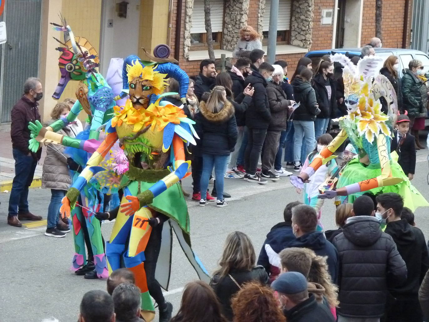 Fotos: Desfile de Carnaval en Tudela de Duero