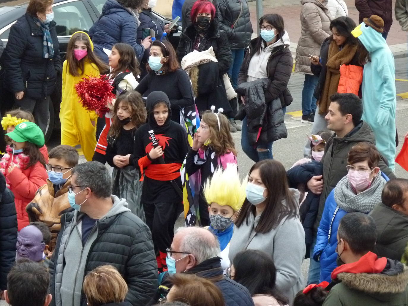 Fotos: Desfile de Carnaval en Tudela de Duero