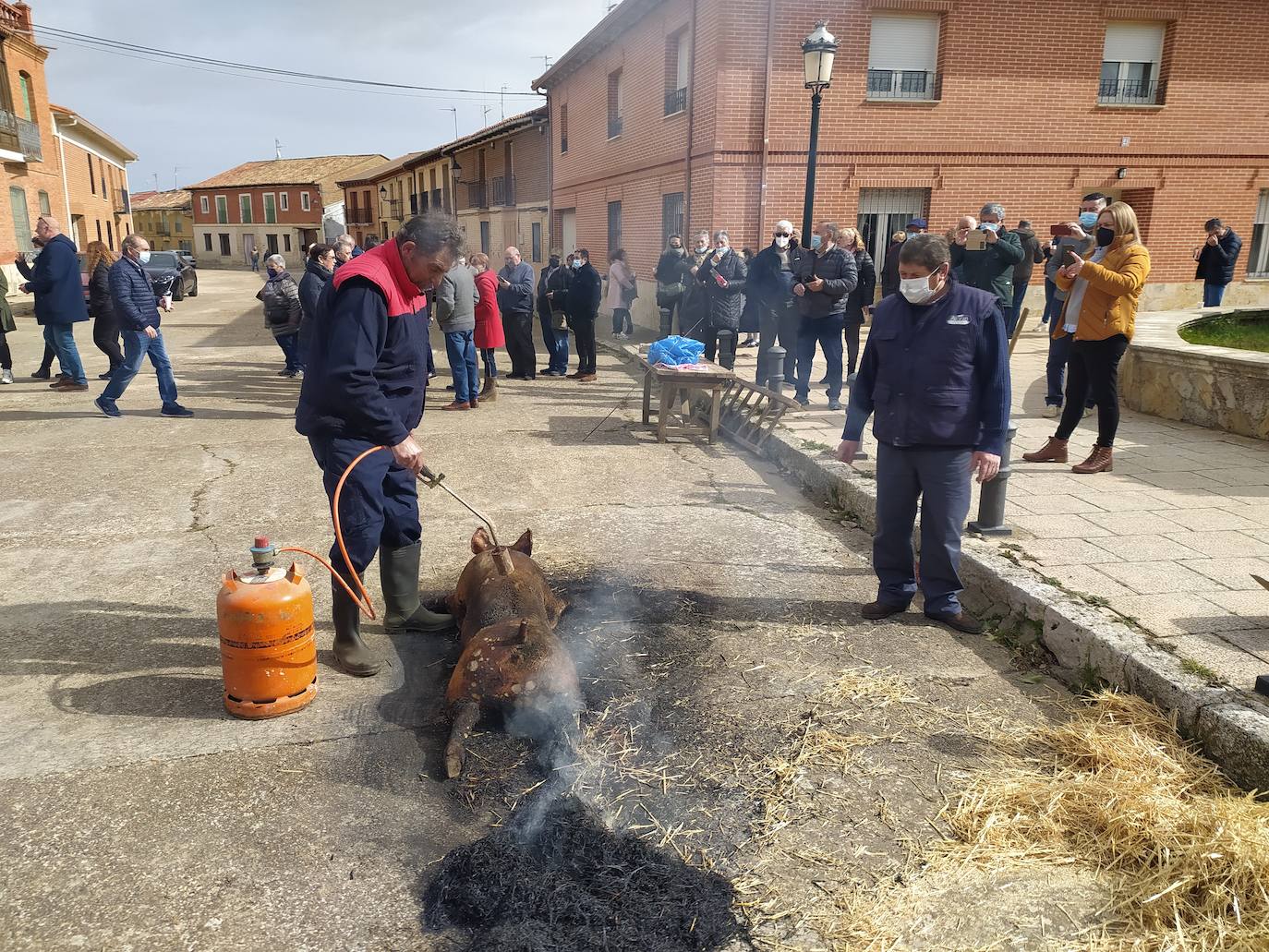 Fotos: Fiesta de la matanza en Palazuelo de Vedija