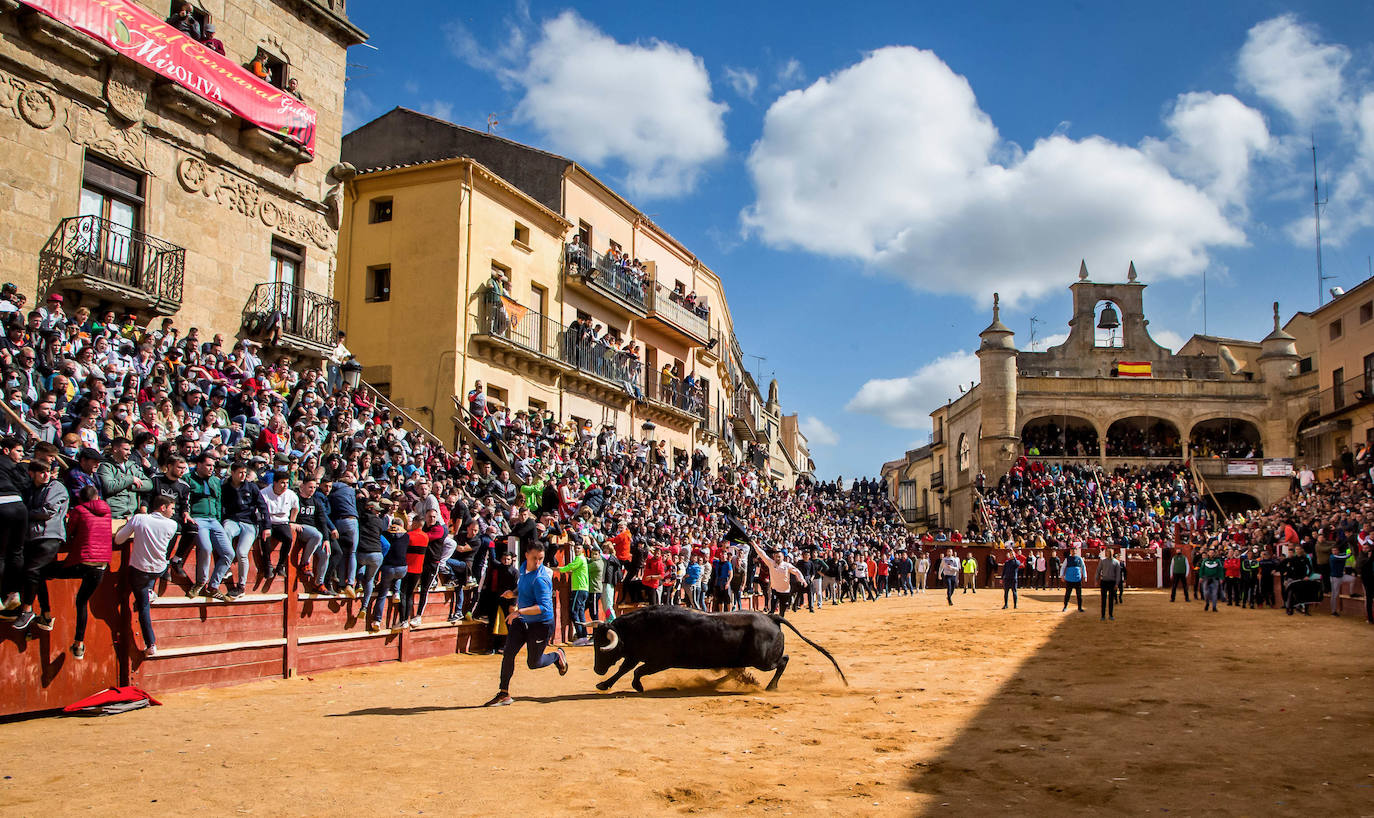 Fotos: Domingo grande en el Carnaval del Toro de Ciudad Rodrigo