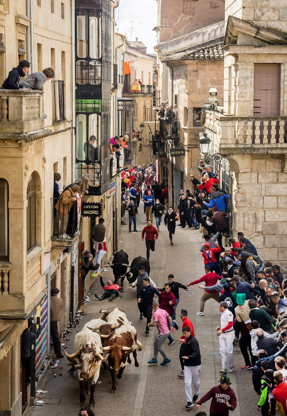 Fotos: Domingo grande en el Carnaval del Toro de Ciudad Rodrigo