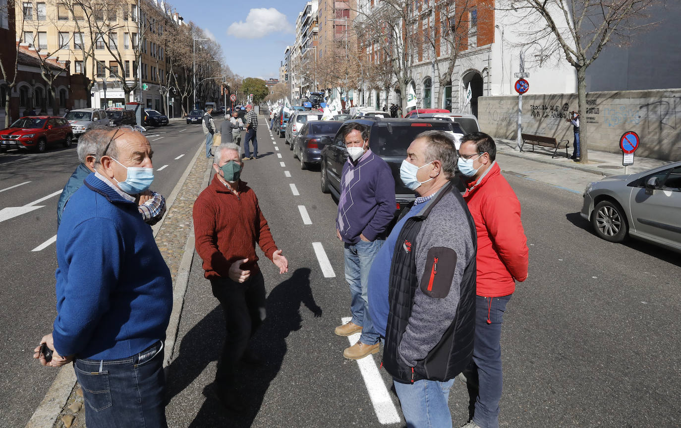 Fotos: Tractorada en Palencia contra los elevados costes de producción