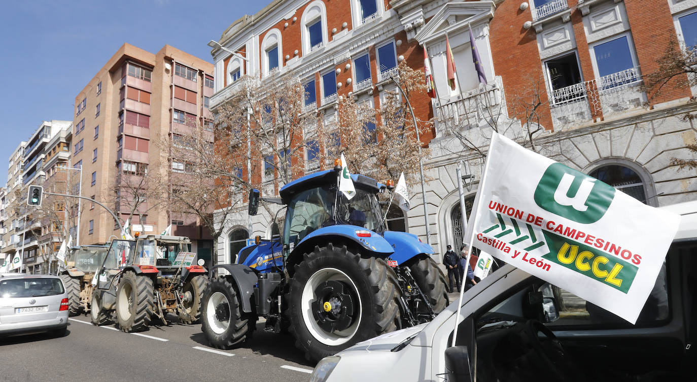Fotos: Tractorada en Palencia contra los elevados costes de producción