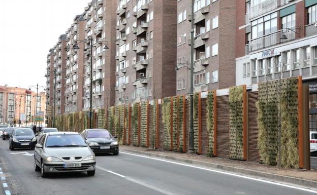 Las barreras vegetales instaladas en la mediana del paseo del Hospital Militar. 