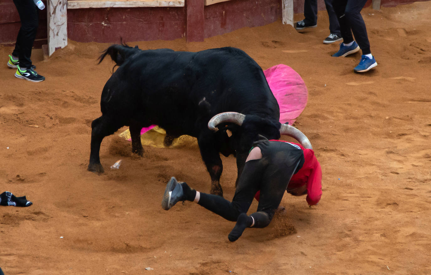 Fotos: Herido muy grave un vallisoletano de 24 años en la capea de Ciudad Rodrigo