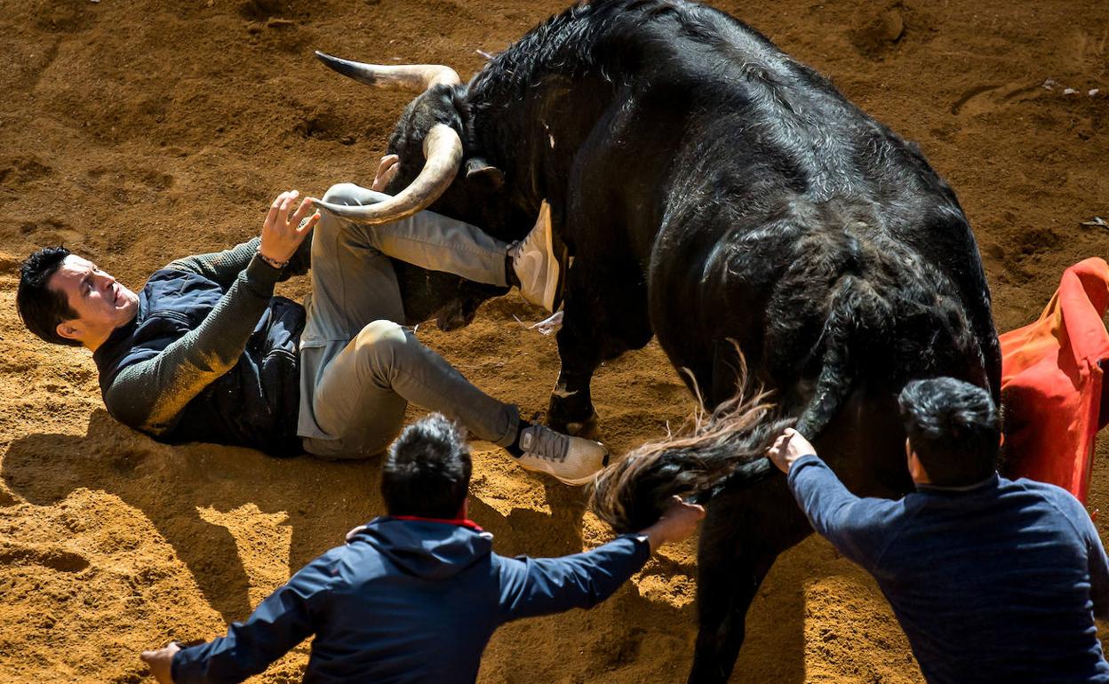 Carnaval del Toro en Ciudad Rodrigo. Miércoles de ceniza. 