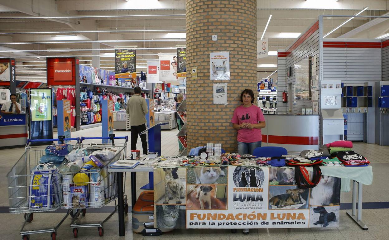 Expositor de la Fundación Luna en el E. Leclerc de Salamanca. 