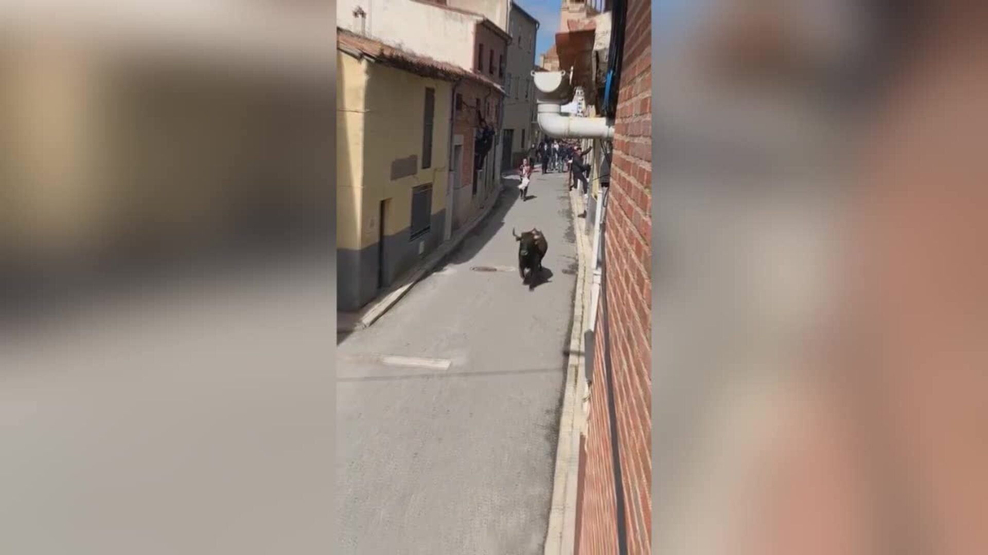 Dura cogida a un hombre en Cantalapiedra (Salamanca) tras vencer una reja