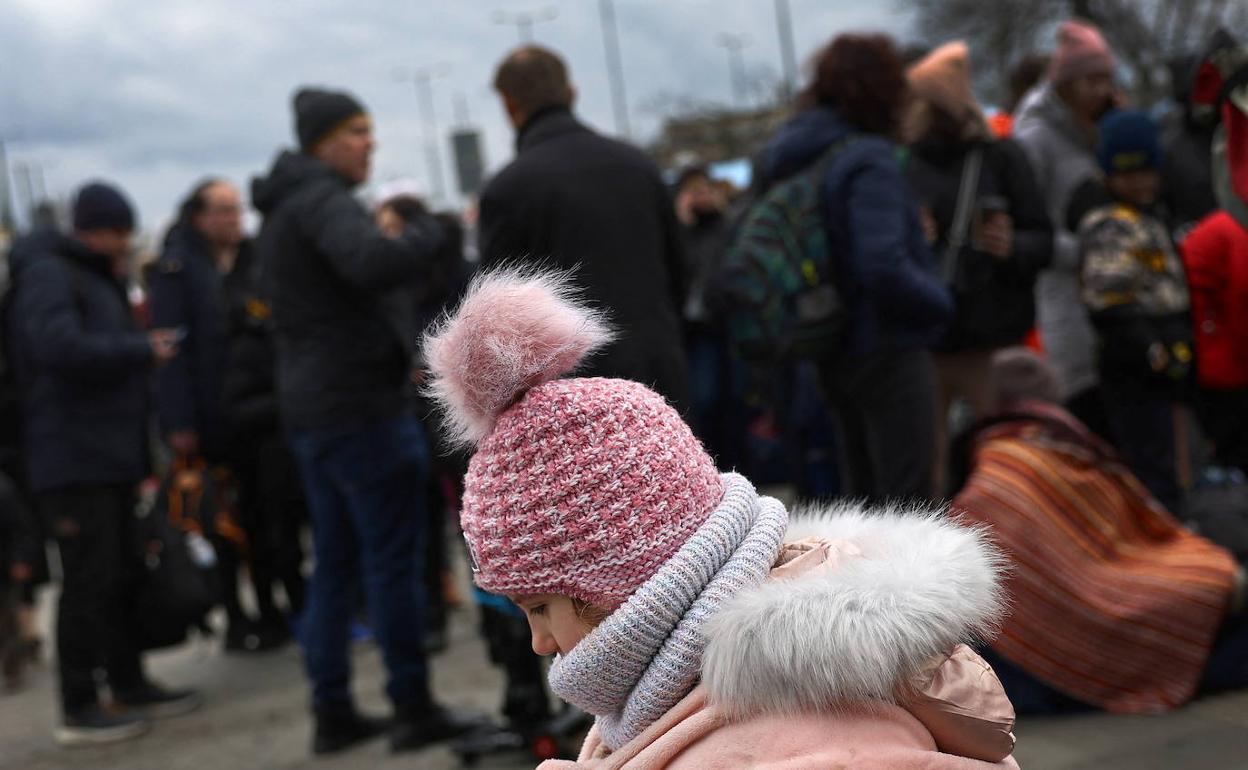 Obligada altura de miras