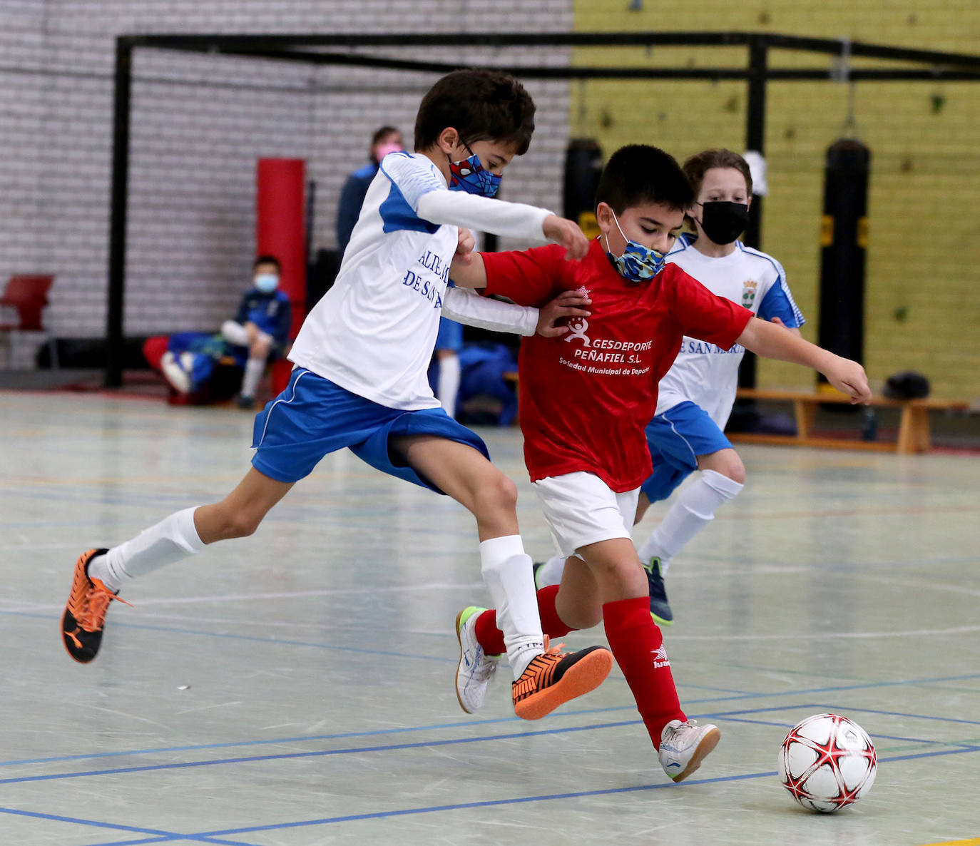 Fotos: Fútbol sala y baloncesto congregan la atención de los escolares en Valladolid