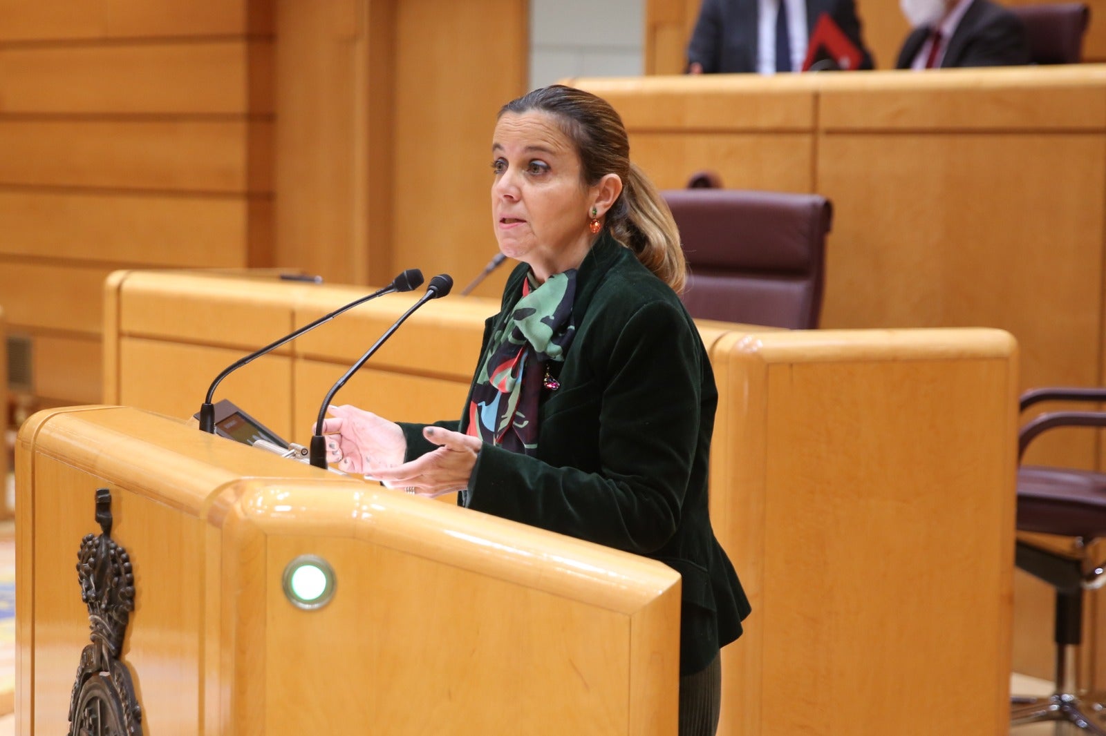 Esther del Brío, senadora del PP por Salamanca, durante su intervención. 