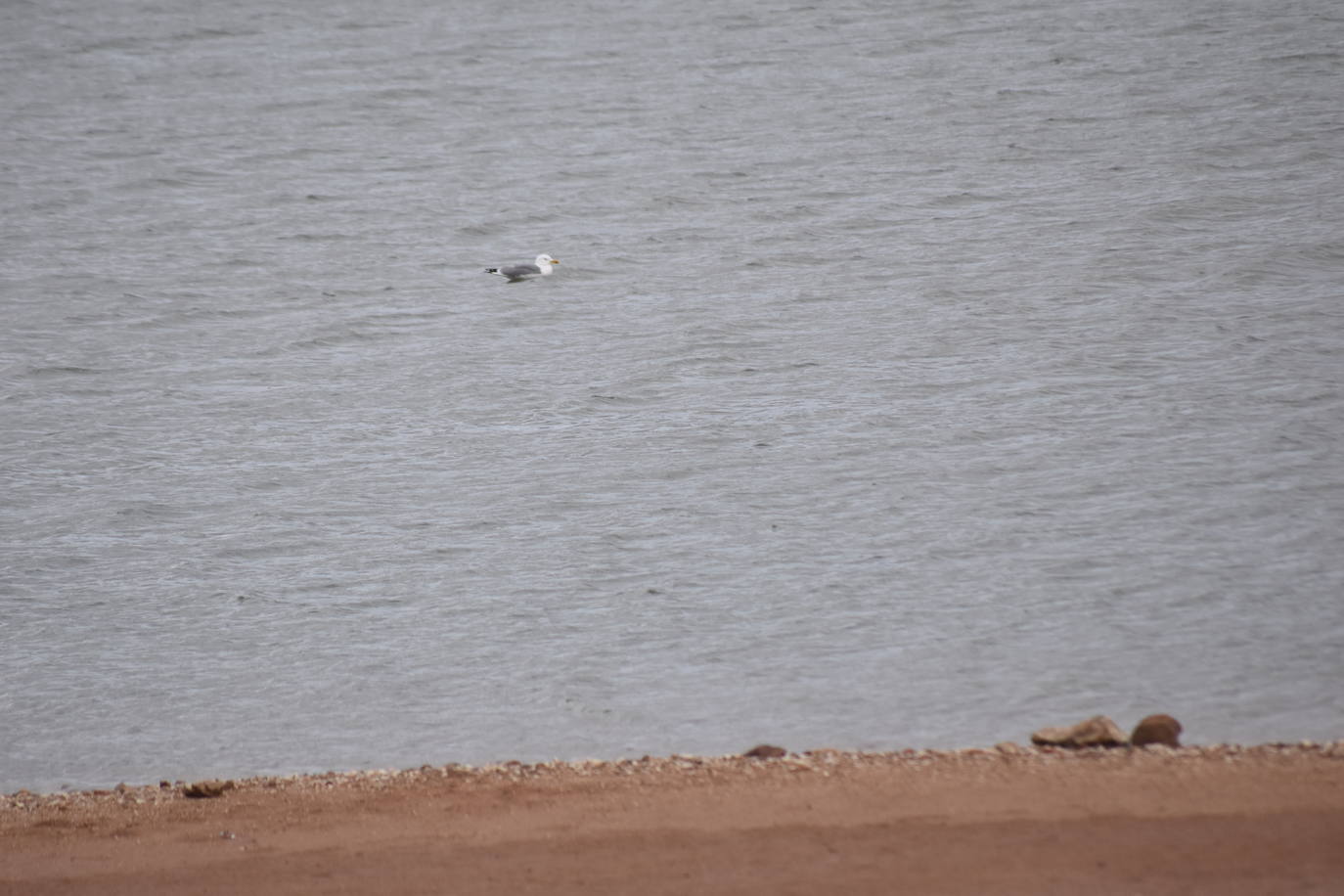 Fotos: Los embalses de Palencia se asoman a la alerta por sequía
