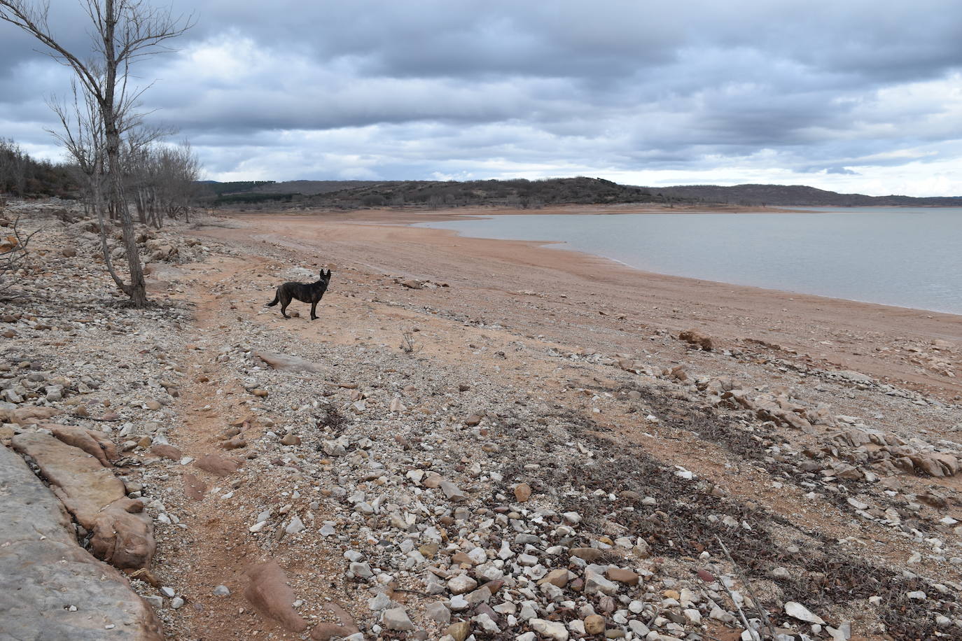 Fotos: Los embalses de Palencia se asoman a la alerta por sequía