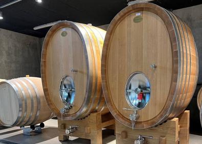 Imagen secundaria 1 - El ángel que protege la vieja viña de Madrigal de las Altas Torres