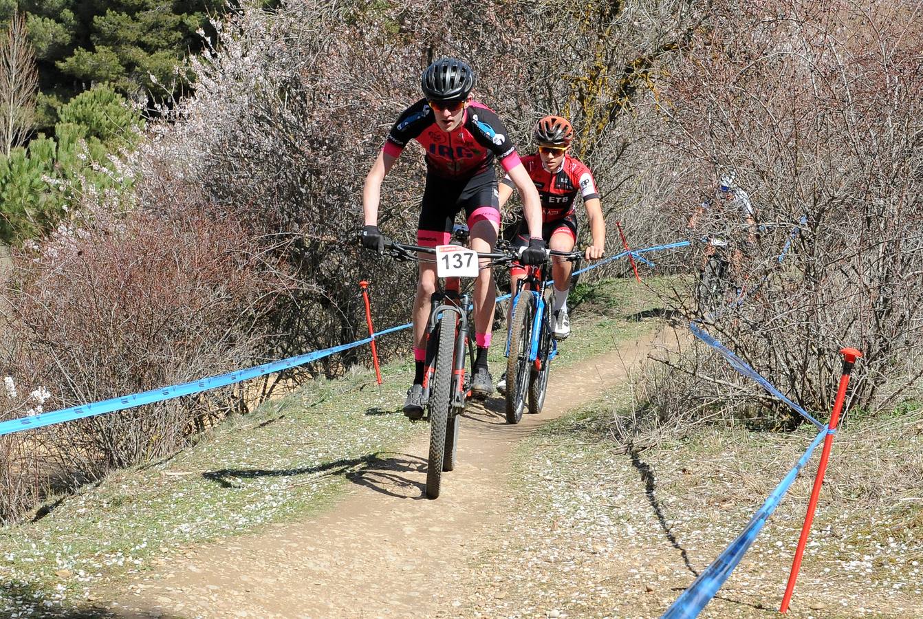 Fotos: Gran Premio Ciudad de Valladolid de BTT (1/2)
